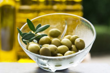 Zeytin ve zeytin yağı