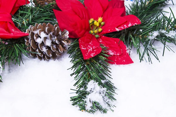 Červené vánoční hvězda se sněhem, samostatný — Stock fotografie