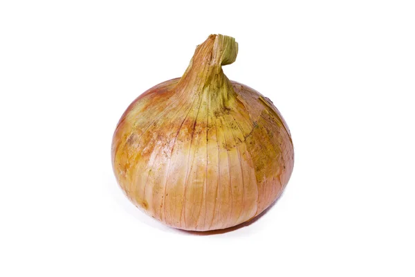 Onions isolated on white background — Stock Photo, Image