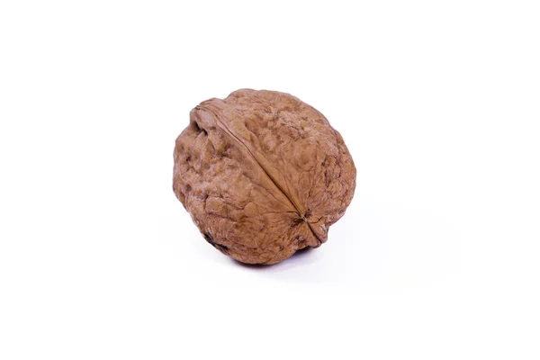 Tasty walnut isolated — Stock Photo, Image