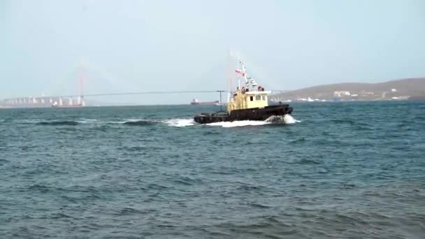 Japon Denizi 'nde yüksek hızda seyreden pilot teknesinin videosu. — Stok video
