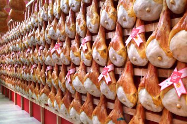 Torino, Piedmont, İtalya. -10 / 22 / 2010 - Yemek Fuarı 