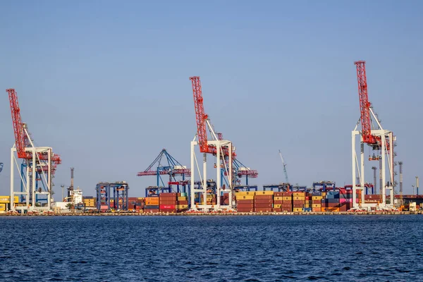 乌克兰敖德萨2021年夏海洋工业商业港口 集装箱码头 海运业港口的集装箱码头 集装箱起重机 — 图库照片