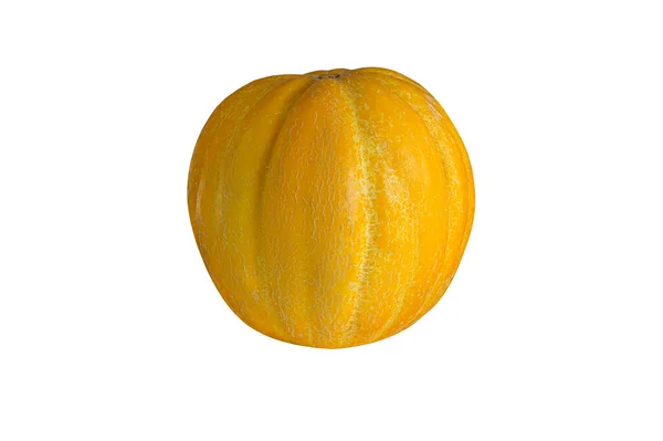Meloen Fruit Vergelijkbaar Met Pompoen Geïsoleerd Witte Achtergrond Oka Variëteit — Stockfoto