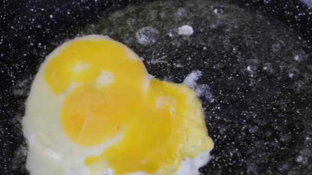 Œuf Poulet Dans Une Poêle Frit Dans Beurre Chaud Vue — Video