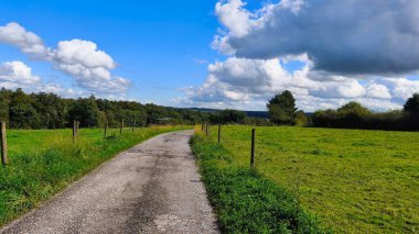 Kırsal yol mavi gökyüzünün altında yemyeşil kırlarda.