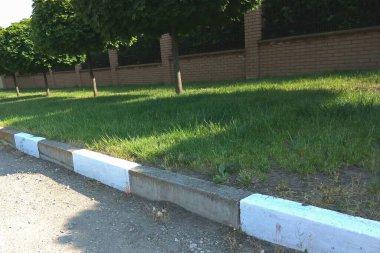 Bir parkta çimenlik ve kaldırım arasında sınır kaldırımı