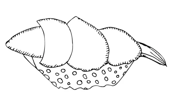 Kousek rybího lososa s rýží, čerstvé rolované sushi izolované na bílém, vektorové znázornění. — Stockový vektor