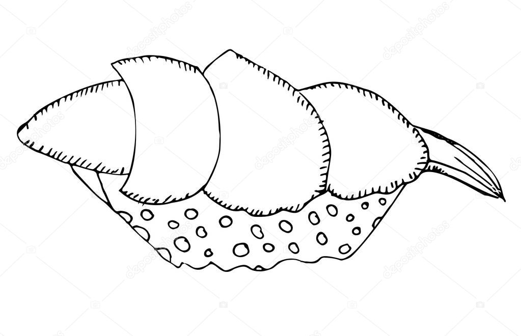 Piece fish tuna salmon with rice, fresh roll sushi isolated on white, vector illustration.
