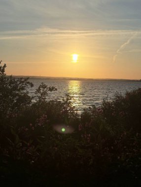 Güneş ufukta batarken, yeşil manzaranın üzerine sıcak bir parıltı saçıyor..