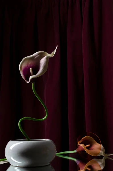 Flores Lírio Decorativas Espelho Contra Dobras Tecido Imagem Abstracta Relaxamento — Fotografia de Stock