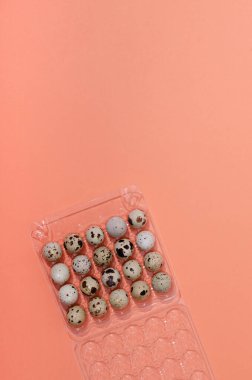 Turuncu arka planda bıldırcın yumurtalarıyla dolu plastik konteynır manzarası. Boş yer.