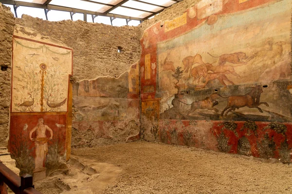 Pompei - Campania İtalya 08-25-2025: Turistler Pompei antik amfitiyatrosunun taş basamaklarını keşfederken, gruplar açık gökyüzü ve uzak dağlar altında arenada bir araya geldiler.