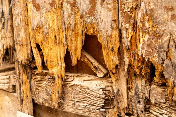 Çürümüş ahşap tahtaların yakın görüntüsü, eski bir yüzey üzerindeki ince tabakaların, derin oyukların ve parçalanmış dokuların sıcak kahverengi tonlarda olduğunu gösteriyor..