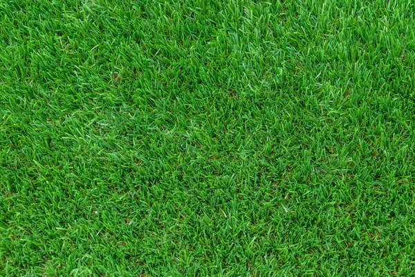 artificial turf synthetic grass seen from above with natural daylight