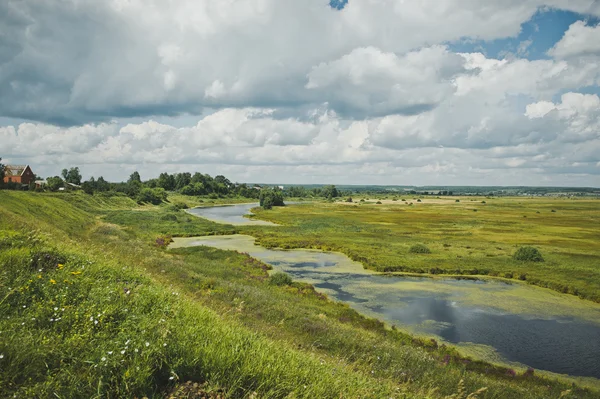 Moerassig rivier stroomt door het veld 5120. — Stockfoto