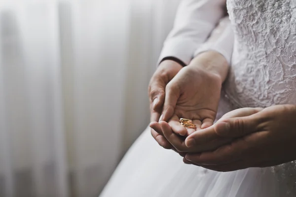 Anéis nas mãos 5142 . — Fotografia de Stock