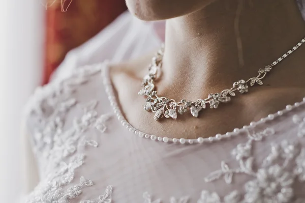 Een mooie ketting voor een vrouw 5164. — Stockfoto