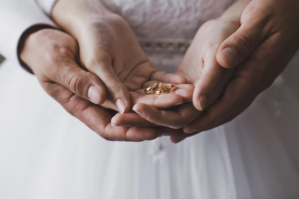 Rings in hands 5165. — Stock Photo, Image