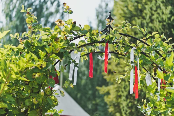 Arch with ribbons of fabric in front of the alley from the bushe — Stock Photo, Image