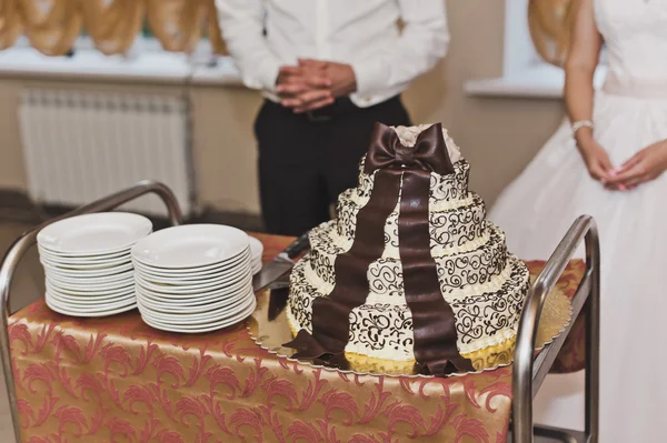 Hochzeitstorte mit kleinen Mustern 5266. — Stockfoto