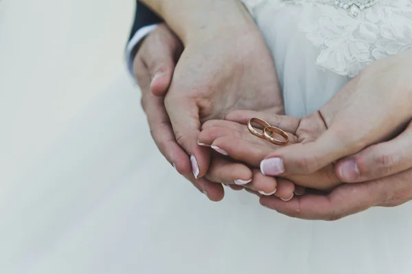 Mãos nas mãos segurando anéis de casamento 5732 . — Fotografia de Stock