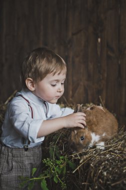 Tavşan 6064 okşayarak Kızıl saçlı çocuk.
