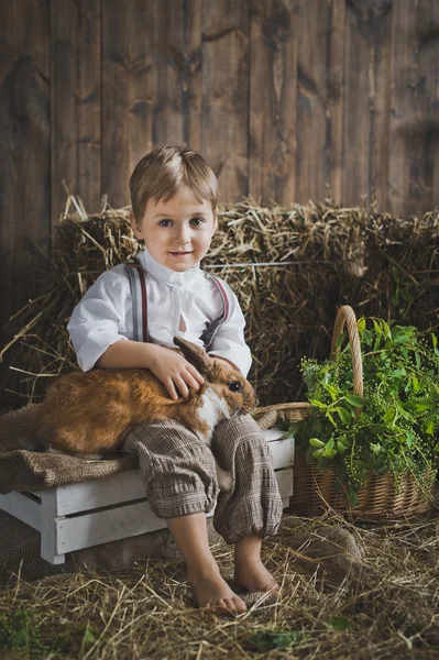 Портрет мальчика, играющего с кроликом 6046 . — стоковое фото