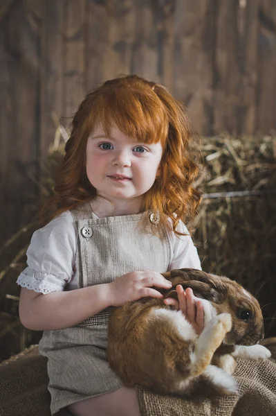 Küçük kız kırmızı bir tavşan 6040 oynuyor.