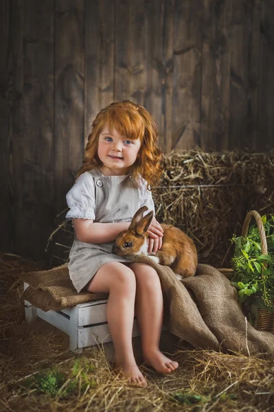 Ребенок погладил кролика на коленях 6037 . — стоковое фото