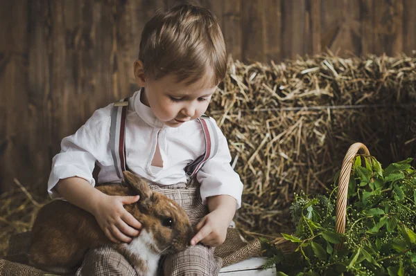 Portret van een kleine jongen spelen met een konijn 6049. — Stockfoto