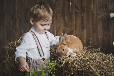 Farklı hayvan 6065 çocuklar sever.