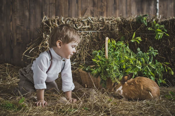 Kinder und Tiere sind Freunde 6051. — Stockfoto