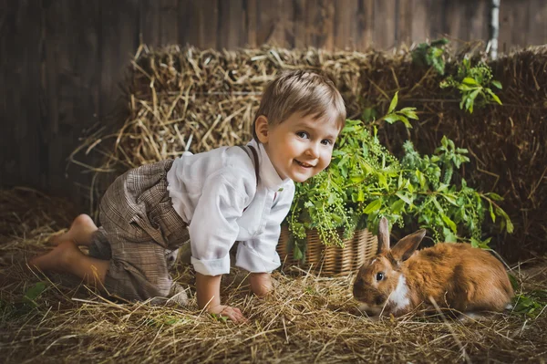 Yemlik 6054 hayvanlarla çocuk çalış.