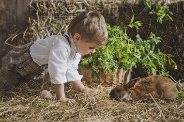 Yemlik 6052 hayvanlarla çocuk çalış.