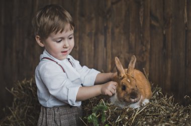 Tavşan 6063 okşayarak Kızıl saçlı çocuk.