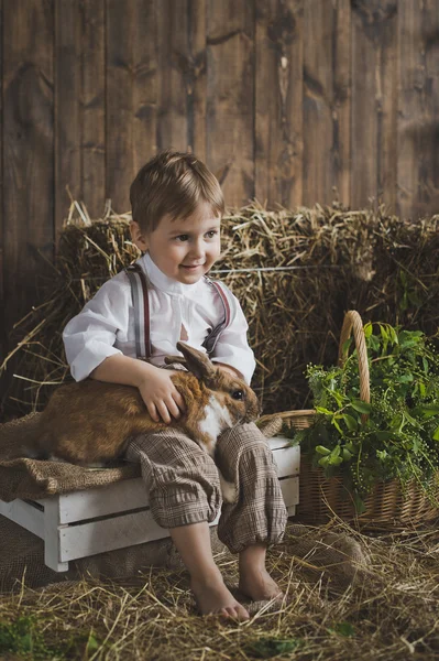 Портрет мальчика, играющего с кроликом 6047 . — стоковое фото