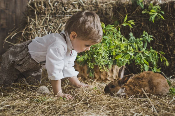 De jongen speelt met de dieren in de kribbe 6052. — Stockfoto