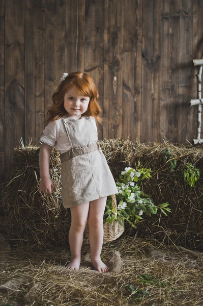 Studio ritratto di bambine dai capelli rossi nel fieno 6135 . — Foto Stock