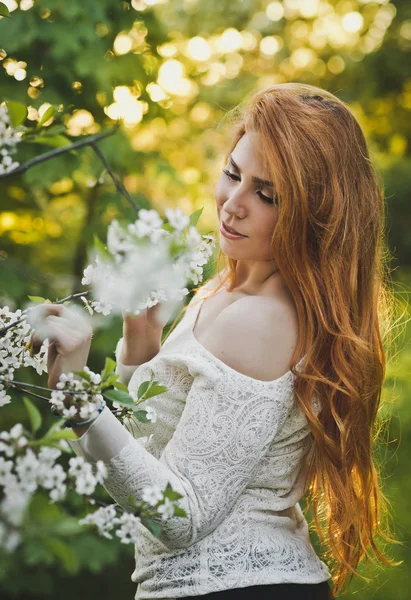 Retrato de una niña admirando a un Bush con flores 6191 . —  Fotos de Stock