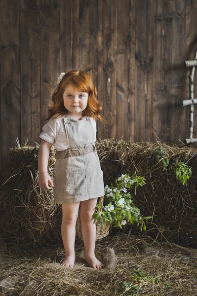 Kızıl saçlı kız saman 6136 stüdyo portre.