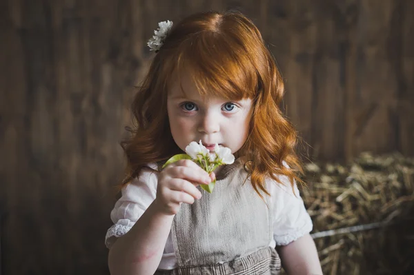 Retrato de cerca de niña con pelo rojo y flor 6145 . — Foto de Stock
