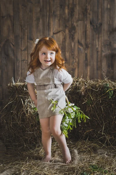 Studio ritratto di bambine dai capelli rossi nel fieno 6137 . — Foto Stock