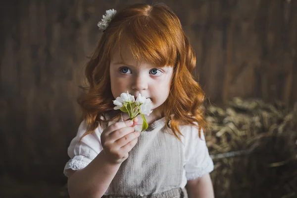 Retrato de cerca de niña con pelo rojo y flor 6144 . — Foto de Stock
