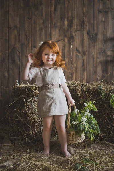 The girl with red hair with a basket 6131. — Stock Photo, Image