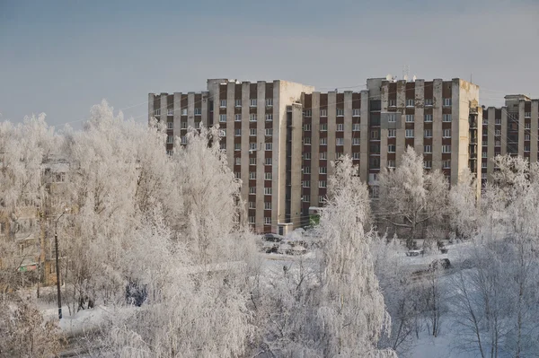 Urban landscape with trees covered with hoarfrost and multi-stor — Stock Photo, Image