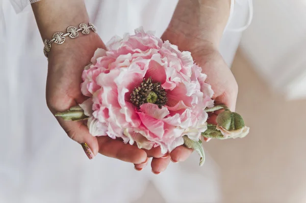 Rosa Blume in weiblichen Händen 6370. — Stockfoto