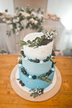 Doğal böğürtlenli güzel büyük pasta.