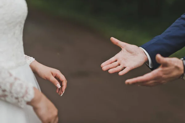 Der Bräutigam Die Hand Der Bräute Nehmen — Stockfoto