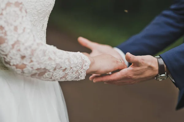 Mãos Noiva Nas Mãos Noivo — Fotografia de Stock